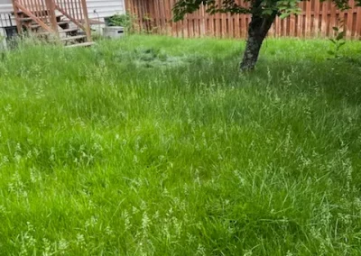 Best Landscaping Maintenance Service