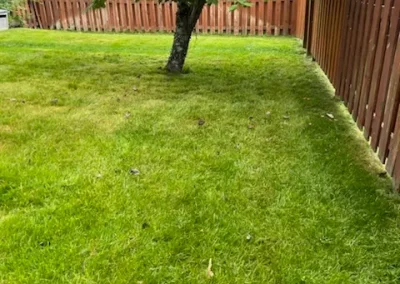 Preferred Landscaping